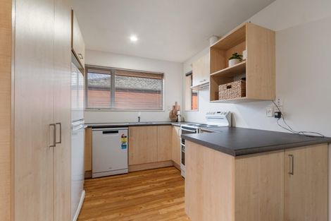 Photo of property in 179 Hastings Street East, Waltham, Christchurch, 8023