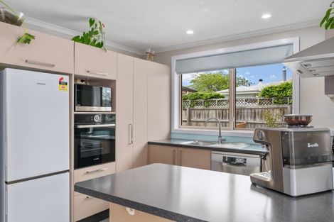 Photo of property in 5a North Street, Redwoodtown, Blenheim, 7201