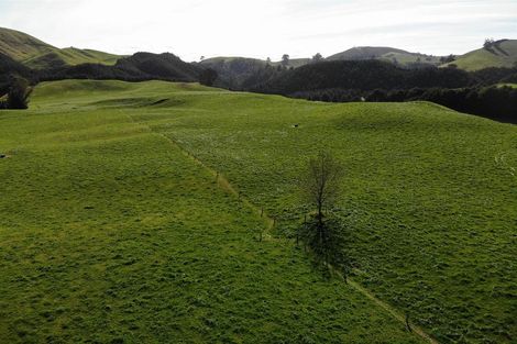 Photo of property in 850 Te Kopia Road, Waikite Valley, 3077