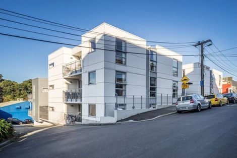 Photo of property in Hanson House, 27ua Hanson Street, Mount Cook, Wellington, 6021