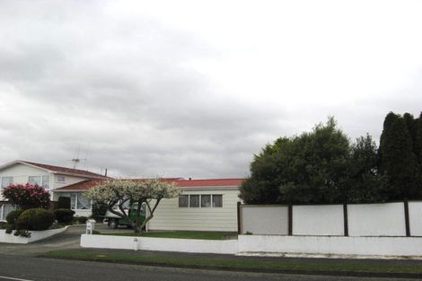 Photo of property in 232 Cambridge Street, Levin, 5510