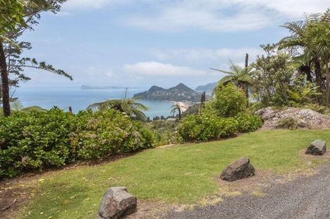 Photo of property in 160 Pumpkin Hill Road, Pumpkin Hill, Whitianga, 3591