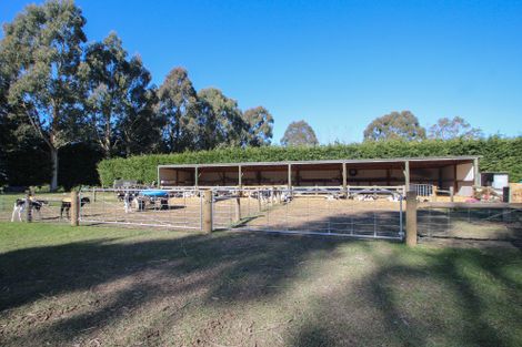 Photo of property in 214 Ferry Road, Richmond, Oamaru, 9494