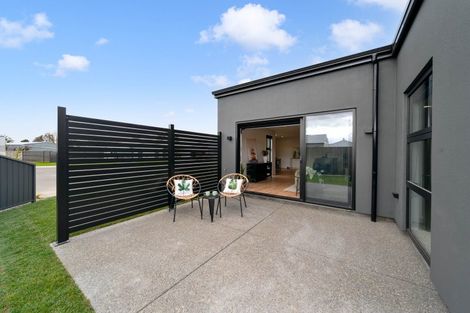 Photo of property in 31 Plains Avenue, Masterton, 5810