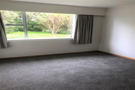 Photo of property in 31 Ferry Road, Spring Creek, 7202