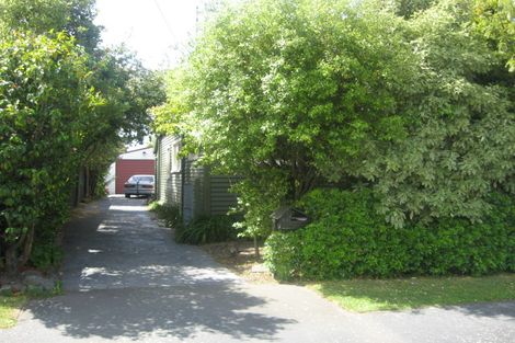Photo of property in 51 Martin Avenue, Beckenham, Christchurch, 8023
