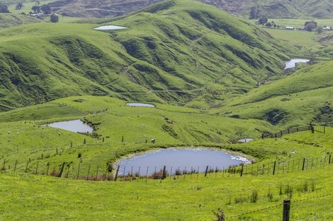 Photo of property in 425 Daggs Road, Bideford, Masterton, 5882