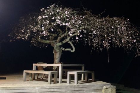 Photo of property in 128d Otonga Valley Road, Raglan, 3295