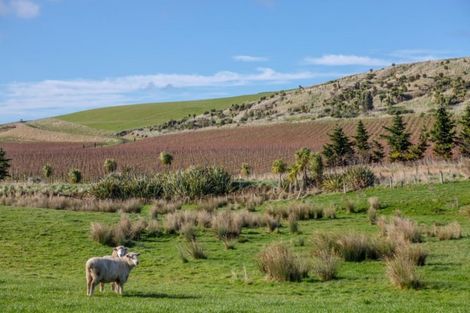 Photo of property in 962 Lake Ferry Road, Dyerville, Martinborough, 5781