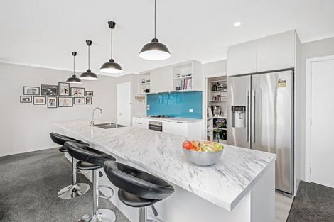 Photo of property in 19 Raptor Street, Rolleston, 7615