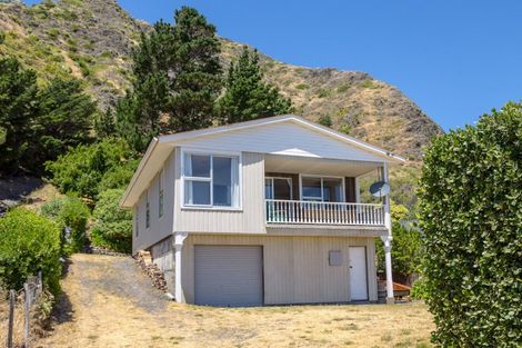 Photo of property in 44 Seaview Avenue, Cape Palliser, Pirinoa, 5772