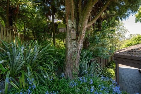 Photo of property in 24 Wychwood Crescent, Springfield, Rotorua, 3015