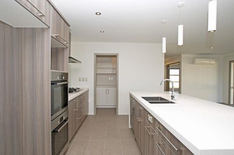 Photo of property in 20 Michael Terrence Place, Flagstaff, Hamilton, 3210