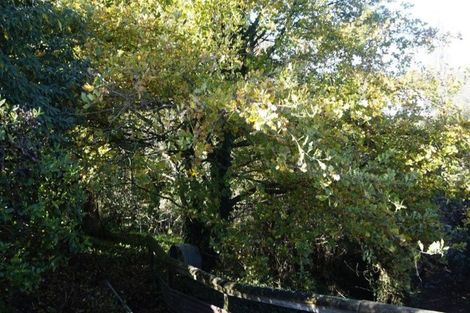 Photo of property in 7 London Terrace, Putaruru, 3411