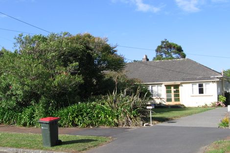 Photo of property in 15 Neville Street, Point Chevalier, Auckland, 1022