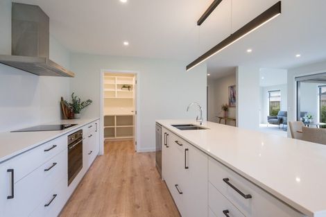 Photo of property in 41 Hart Road, Richmond, 7020