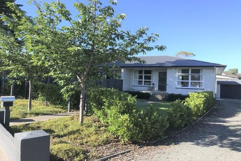 Photo of property in 8 Chambers Street, Havelock North, 4130