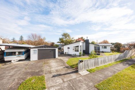 Photo of property in 147 Stanford Street North, Ashhurst, 4810