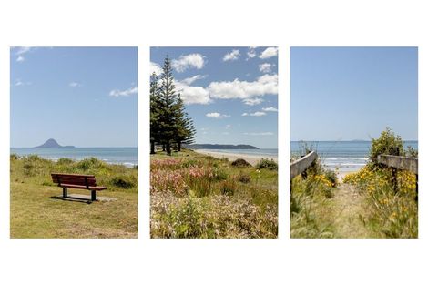 Photo of property in 30 Hoterini Street, Ohope, 3121