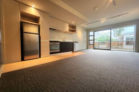 Photo of property in Revolucion Apartments, 103e/28 Torrens Terrace, Mount Cook, Wellington, 6011