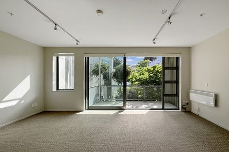 Photo of property in Masina Apartments, 204/80 Riddiford Street, Newtown, Wellington, 6021