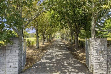 Photo of property in 39 Sunnyside Road, Coatesville, Albany, 0793
