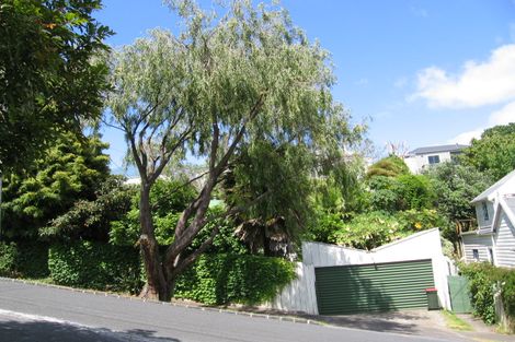 Photo of property in 14 Alexander Street, Kingsland, Auckland, 1021