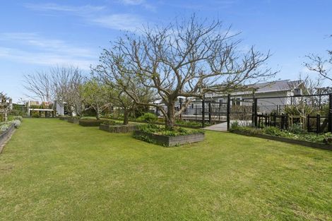 Photo of property in 5 Huse Lane, Rangiuru, Te Puke, 3188
