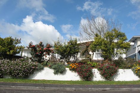 Photo of property in 13 Koromiko Street, Inglewood, 4330