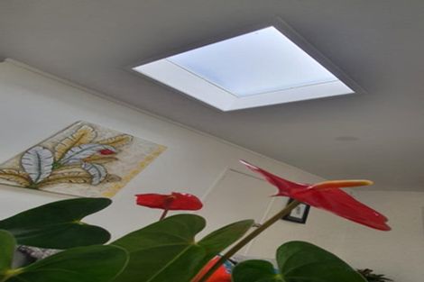 Photo of property in 55 Coronation Road, Hillcrest, Auckland, 0627