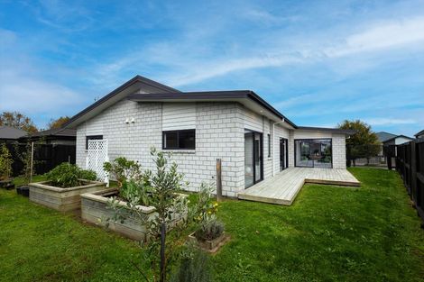 Photo of property in 26 Lockerbie Street, Morrinsville, 3300