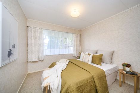 Photo of property in 166 Limbrick Street, Terrace End, Palmerston North, 4410