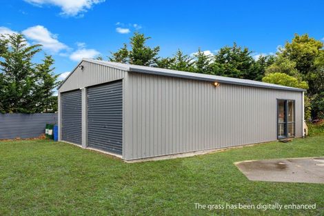 Photo of property in 264 Motuiti Road, Foxton, 4891