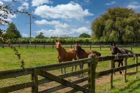 Photo of property in 59 Fuchsia Lane, Tamahere, Hamilton, 3284
