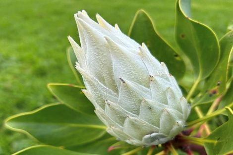 Photo of property in 410 Mahuta Road, Mahuta, Dargaville, 0371