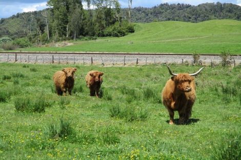 Photo of property in 59 Matai Road, Ngahere, Dobson, 7872