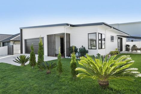 Photo of property in 61 Goodwin Crescent, Pyes Pa, Tauranga, 3112