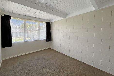 Photo of property in 1-6/31 Albert Street, Palmerston North, 4414