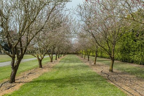 Photo of property in 805 Downs Road, Eyrewell, Rangiora, 7476
