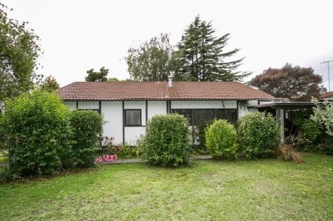 Photo of property in 31 Plassey Street, Havelock North, 4130