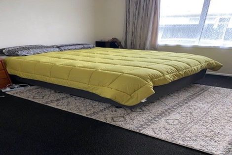 Photo of property in 22a Hazelwood Avenue, Dinsdale, Hamilton, 3204