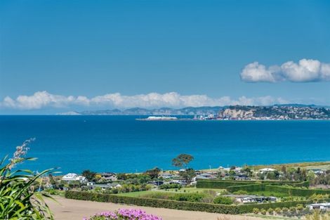 Photo of property in 787 Main North Road, Bay View, Napier, 4182