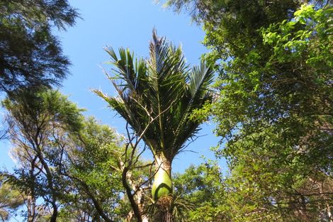 Photo of property in 537d Tuateawa Road, Tuateawa, Coromandel, 3583