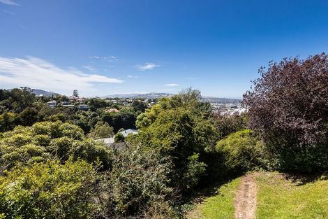 Photo of property in 113 Maryhill Terrace, Maryhill, Dunedin, 9011