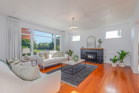 Photo of property in 93 Stortford Street, Ashhurst, 4810