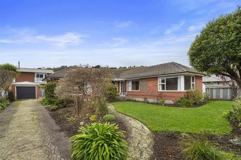 Photo of property in 17 Lascelles Street, Saint Martins, Christchurch, 8022
