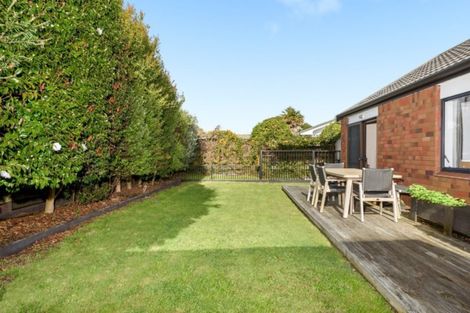 Photo of property in 71b Ascot Road, Mount Maunganui, 3116