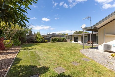 Photo of property in 17 Opawa Place, Terrace End, Palmerston North, 4410
