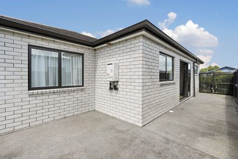 Photo of property in 30 Probert Crescent, Chartwell, Hamilton, 3210