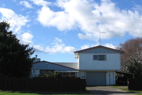 Photo of property in 94 Mako Mako Road, Levin, 5510